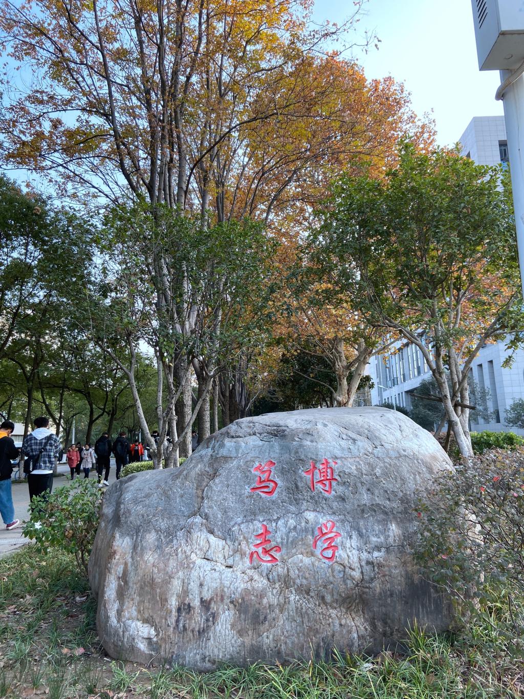 鄂州泰山石廠家