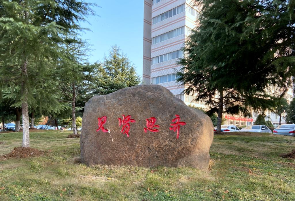 武漢大學(xué)校園景觀石